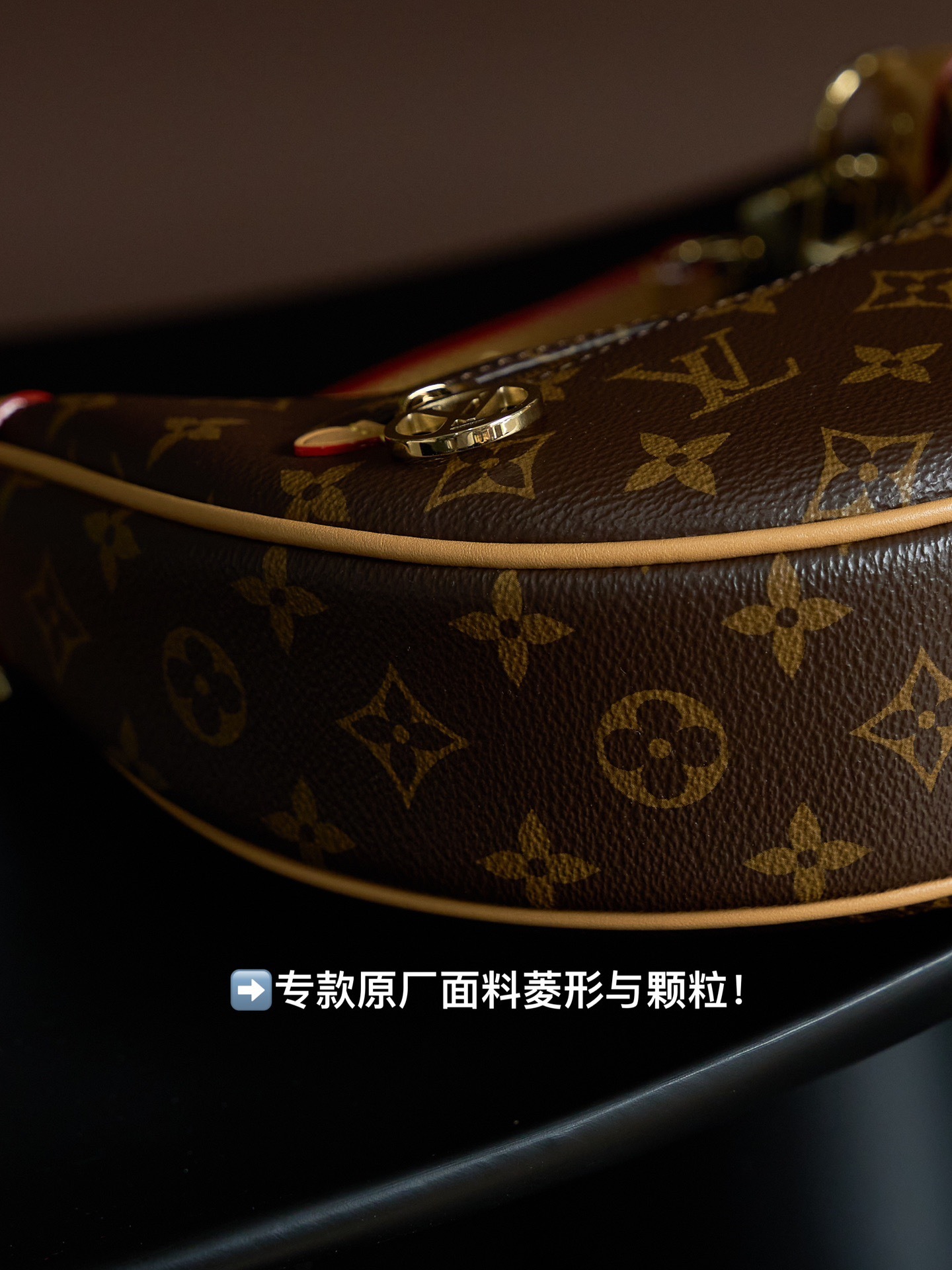 Louis Vuitton Loop