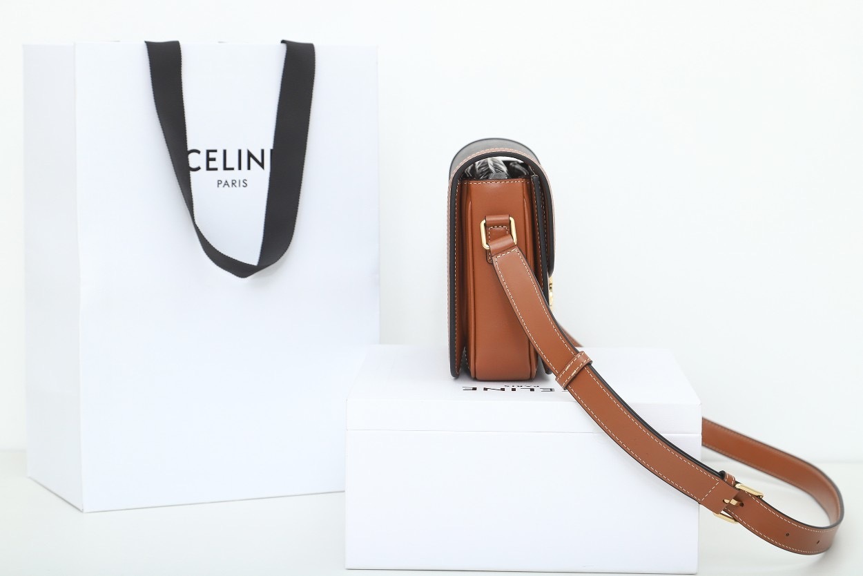 CLASSIQUE TRIOMPHE BAG IN TRIOMPHE CANVAS AND CALFSKIN