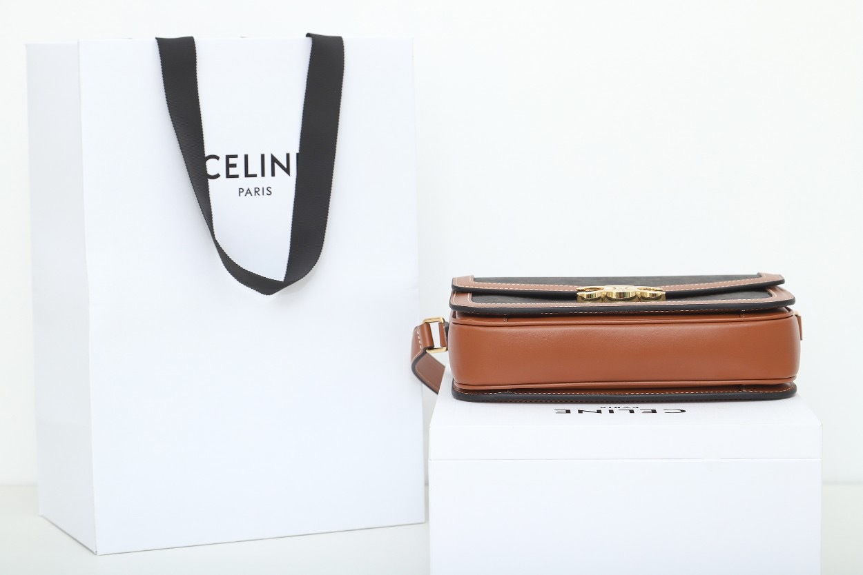 CLASSIQUE TRIOMPHE BAG IN TRIOMPHE CANVAS AND CALFSKIN
