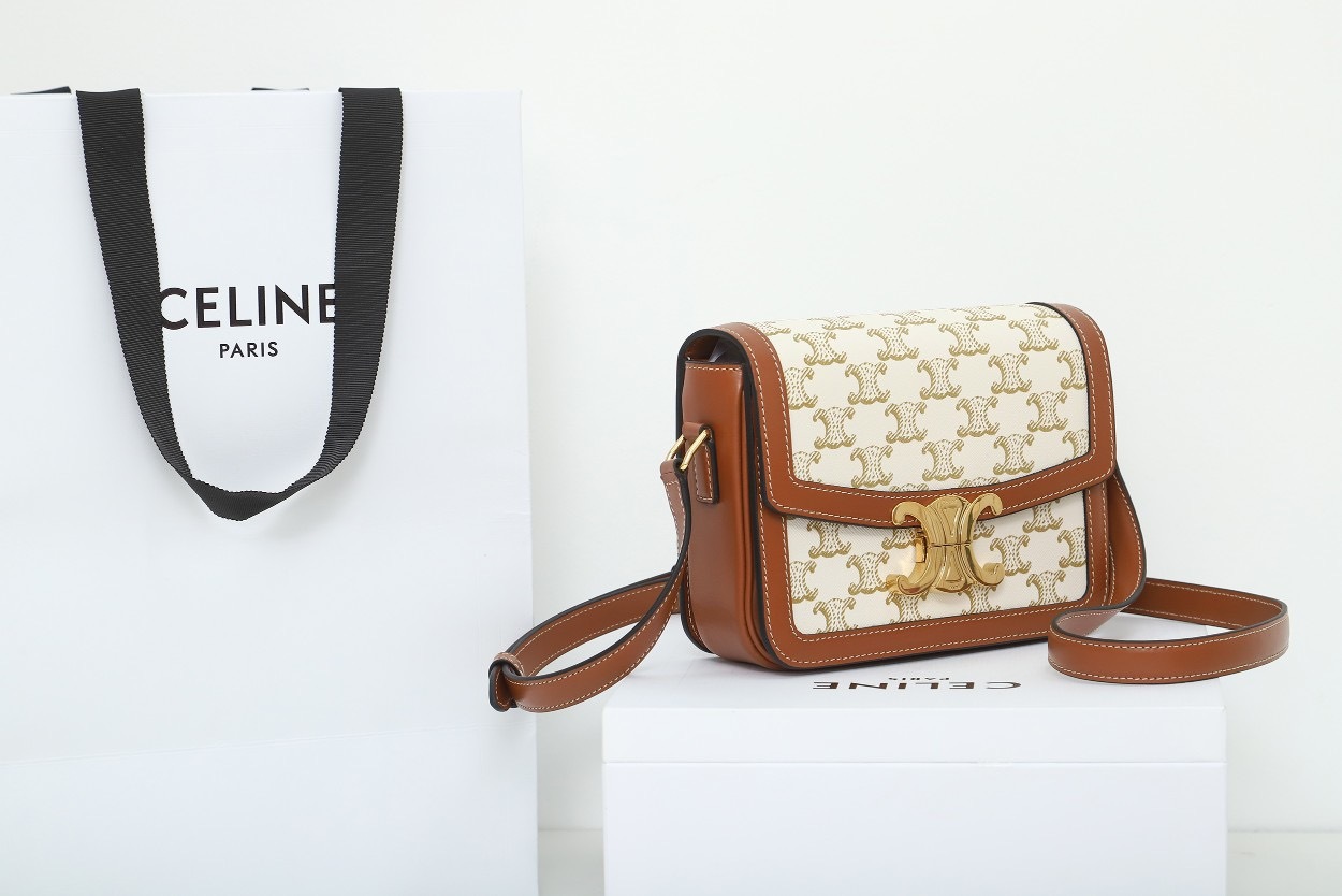 CELINE TEEN TRIOMPHE BAG IN TROMPHE CANVAS AND CALFSKIN