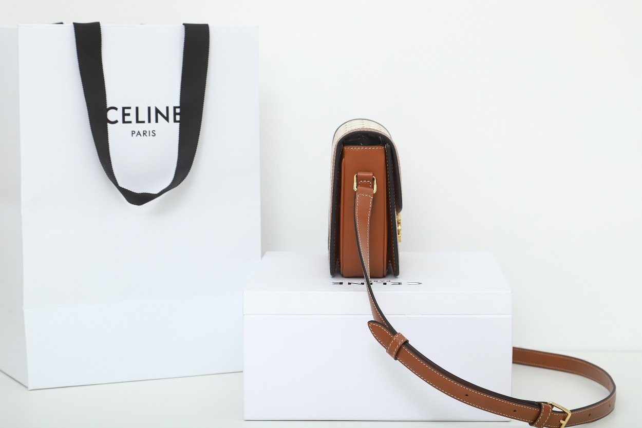 CELINE TEEN TRIOMPHE BAG IN TROMPHE CANVAS AND CALFSKIN