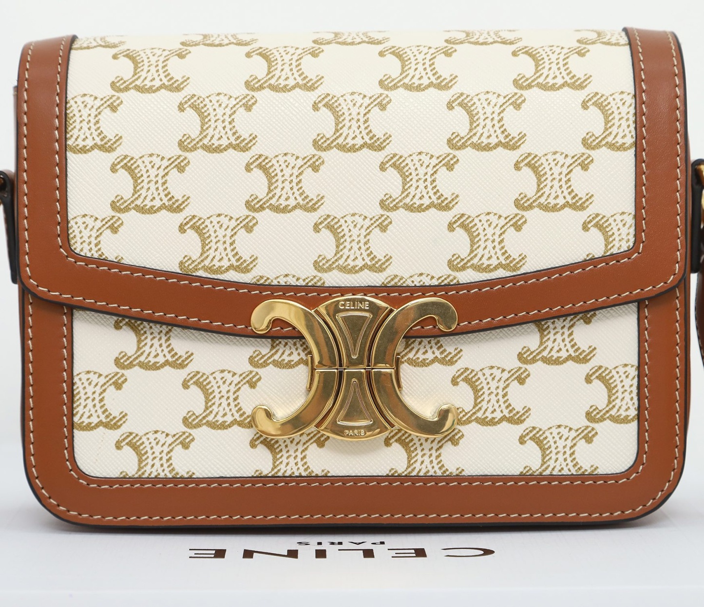 CELINE TEEN TRIOMPHE BAG IN TROMPHE CANVAS AND CALFSKIN