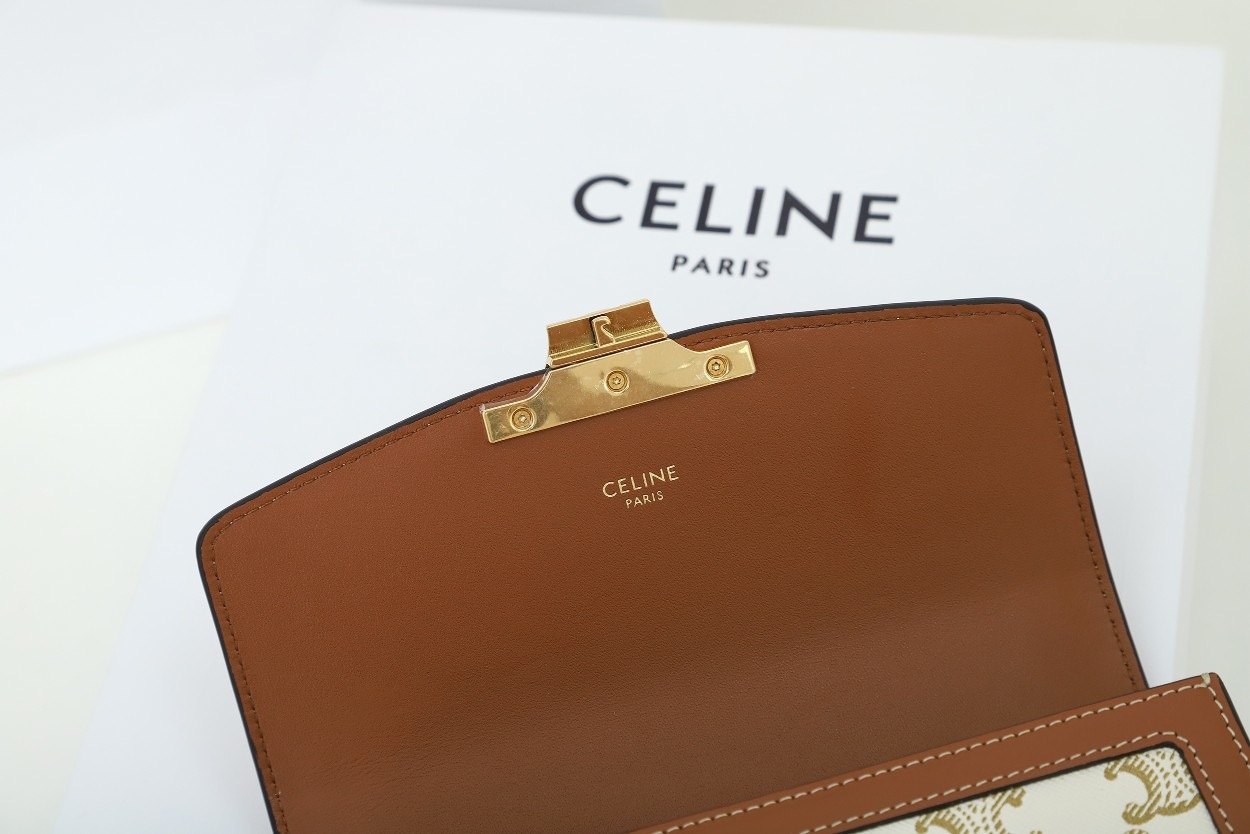 CELINE TEEN TRIOMPHE BAG IN TROMPHE CANVAS AND CALFSKIN