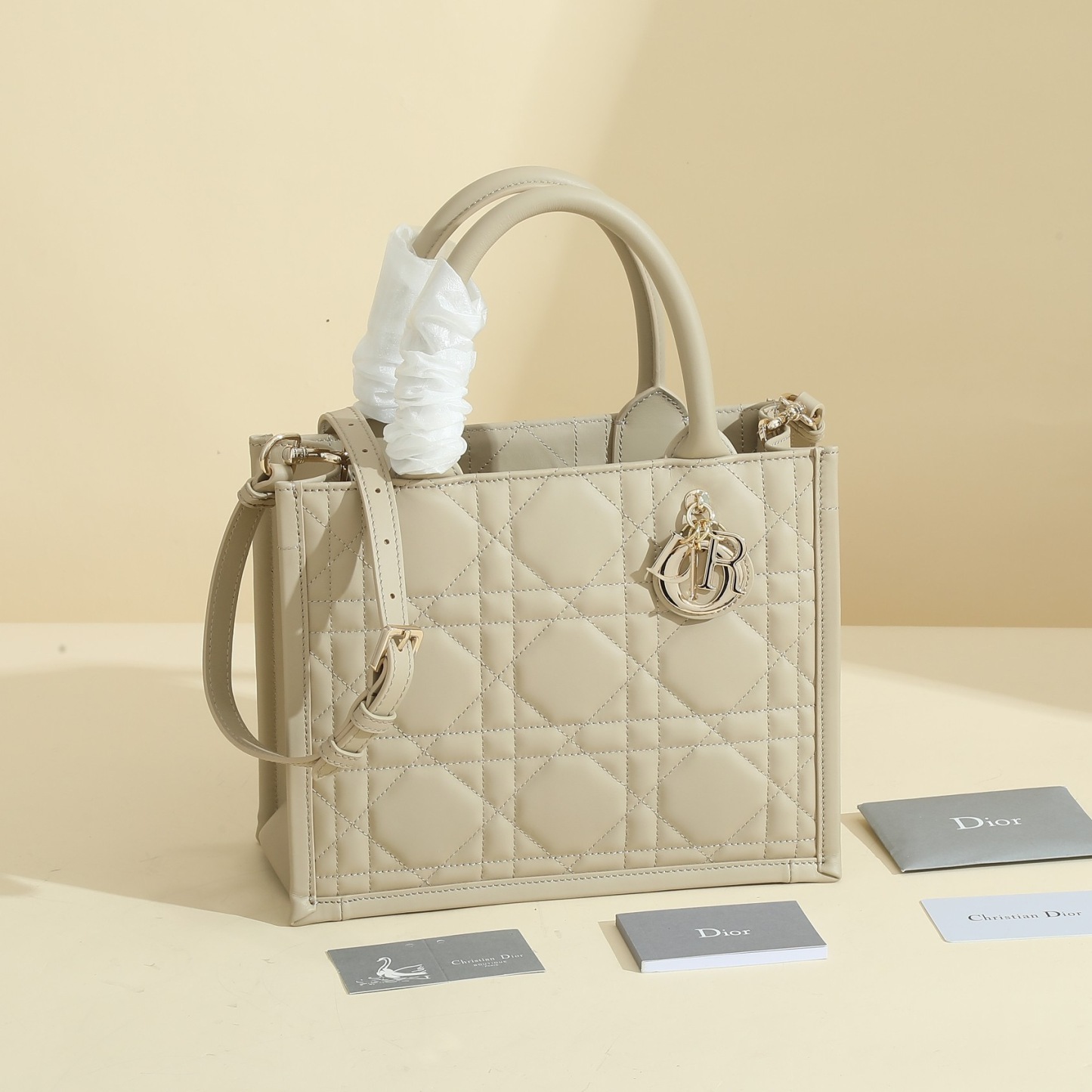 Small Dior Book Tote