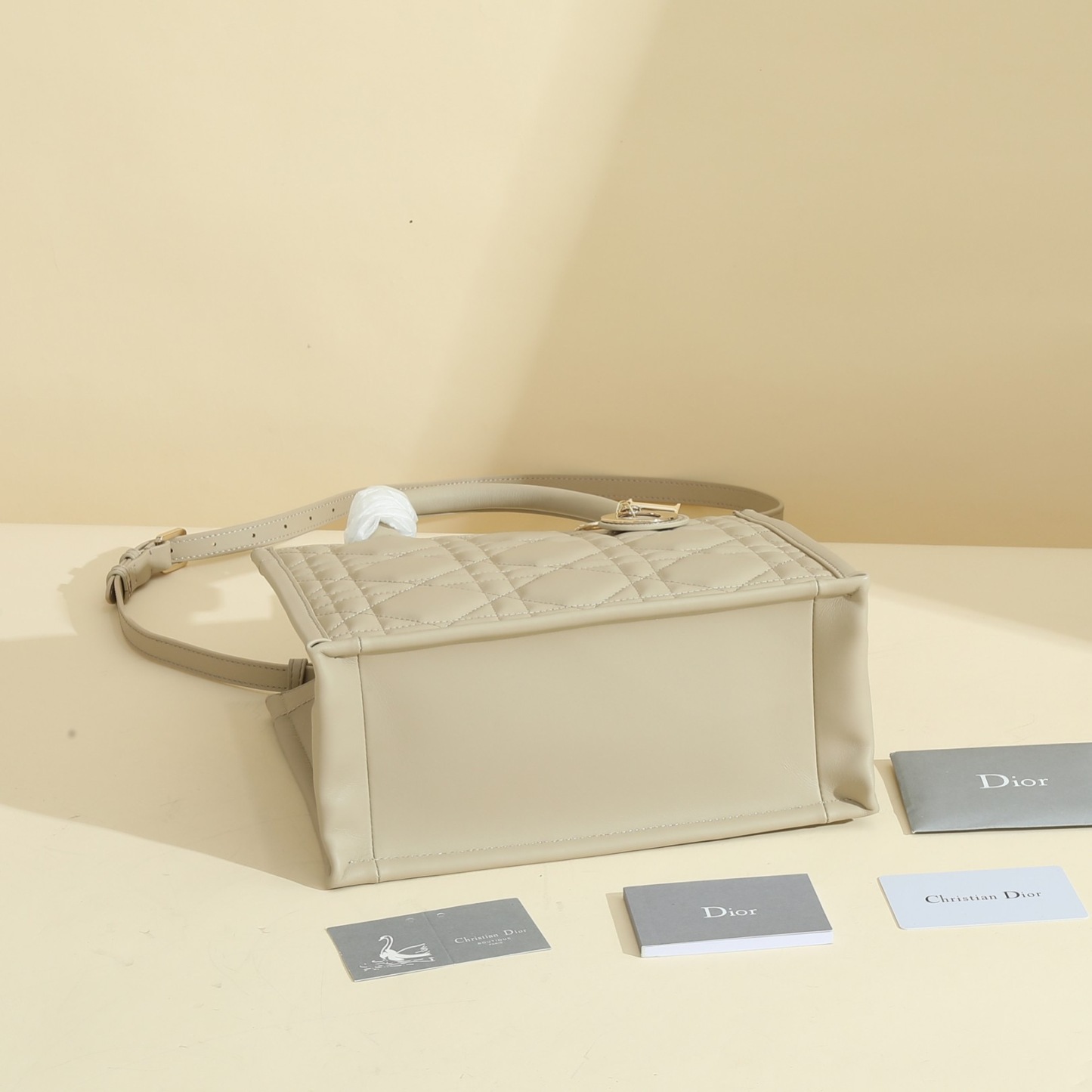 Small Dior Book Tote