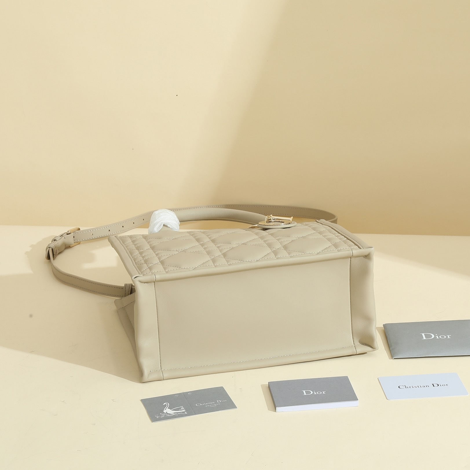 Small Dior Book Tote