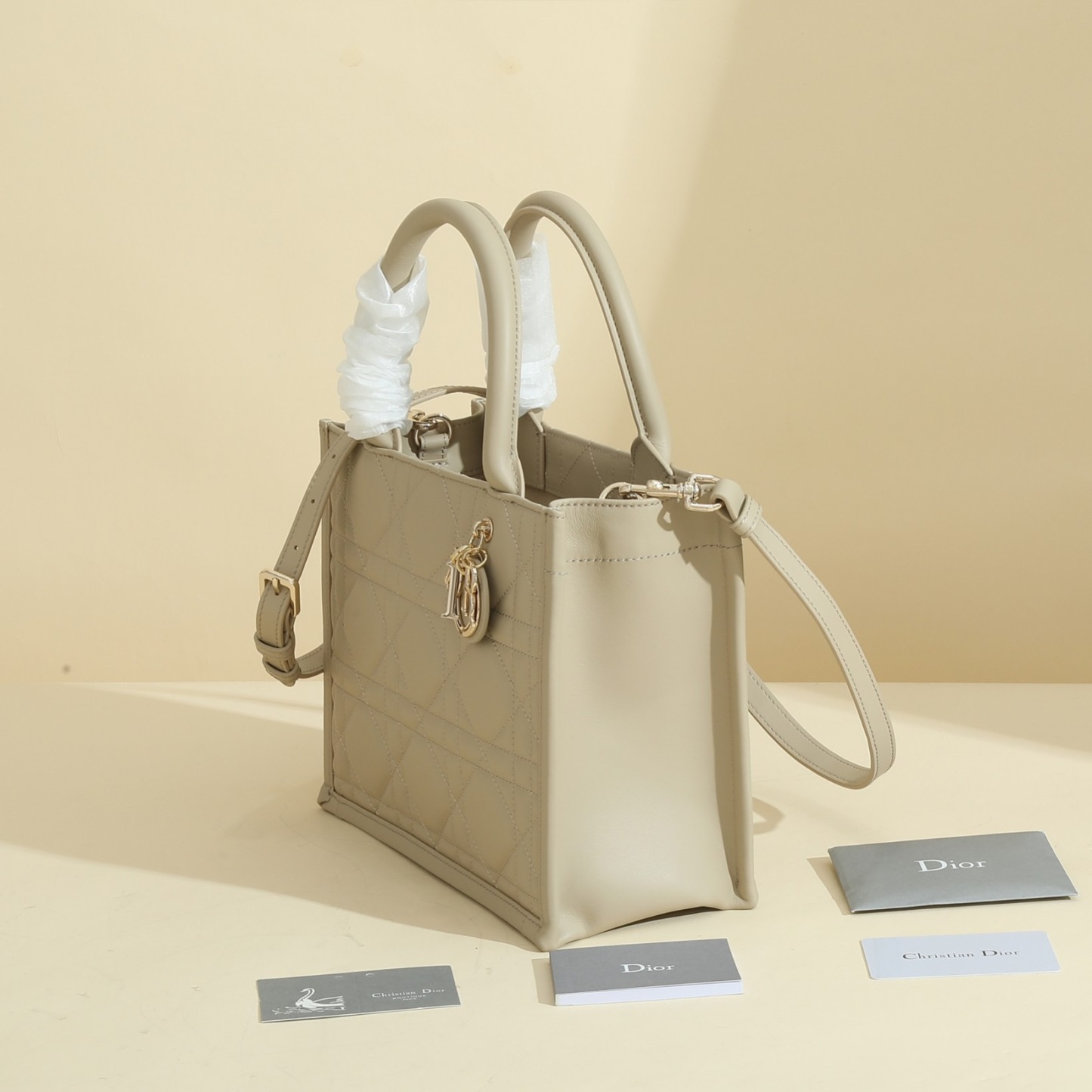 Small Dior Book Tote