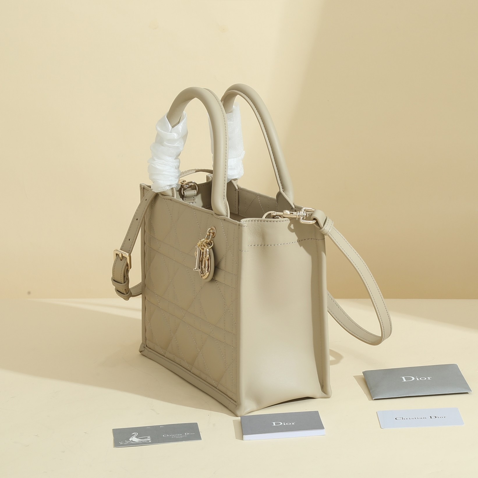Small Dior Book Tote