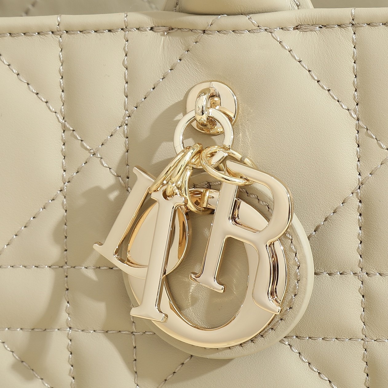 Small Dior Book Tote