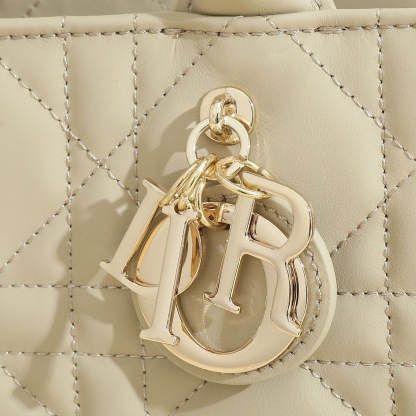 Small Dior Book Tote
