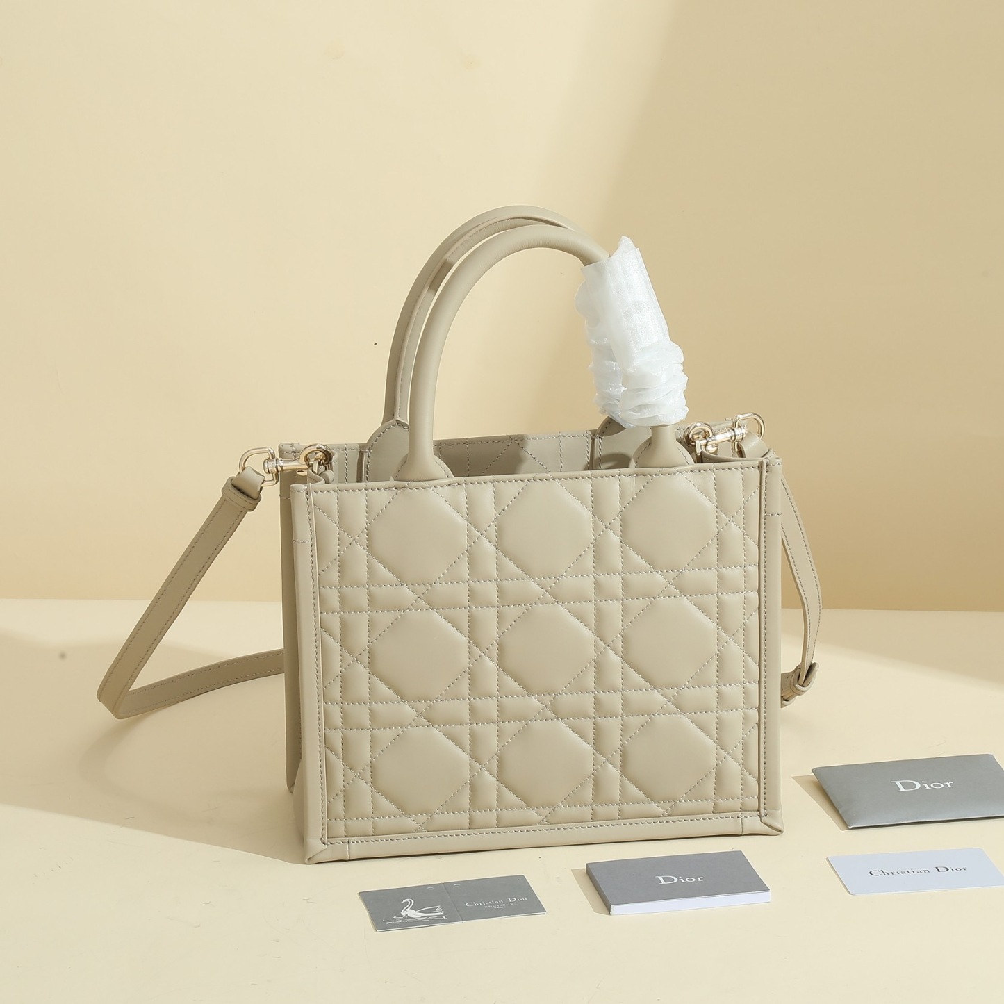 Small Dior Book Tote