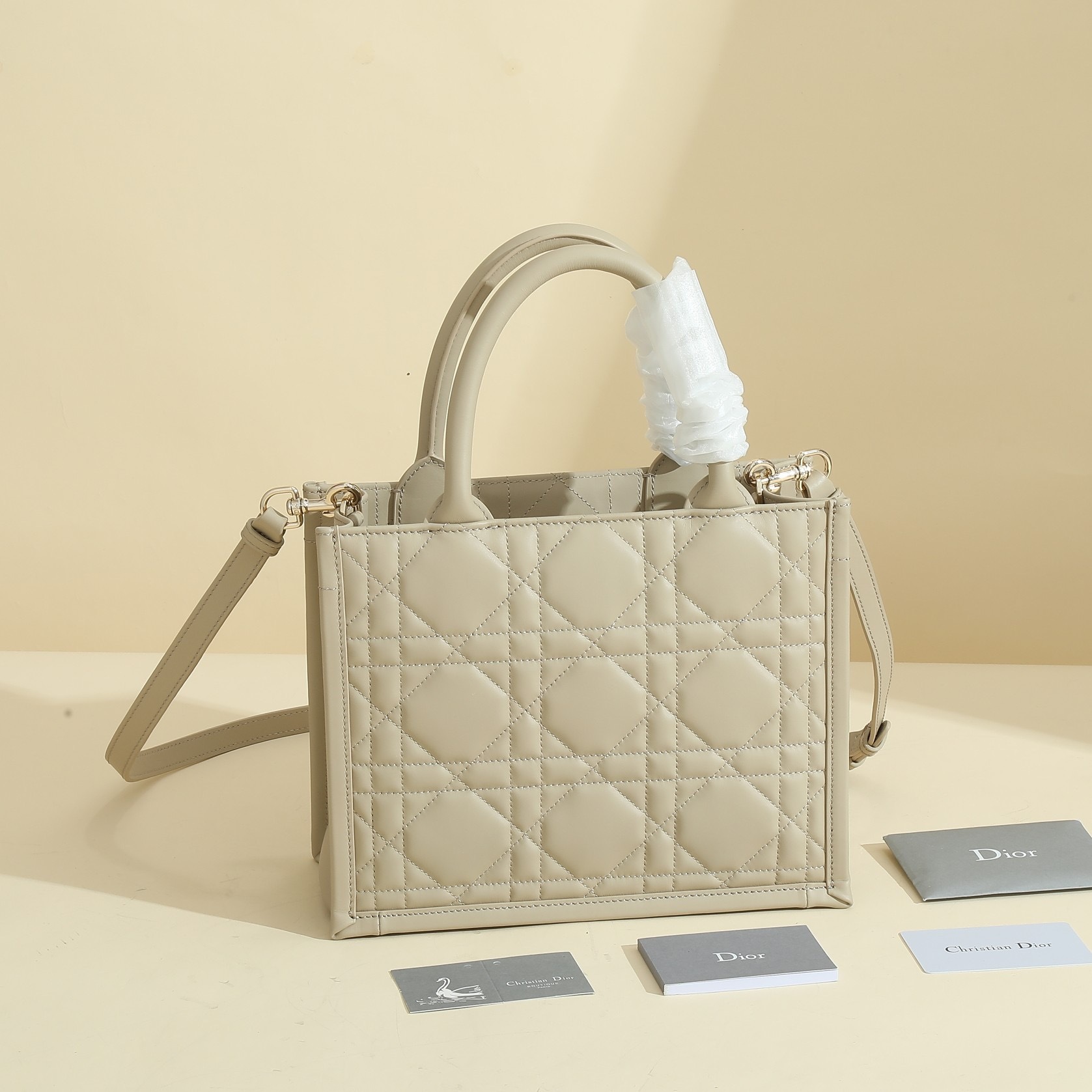 Small Dior Book Tote