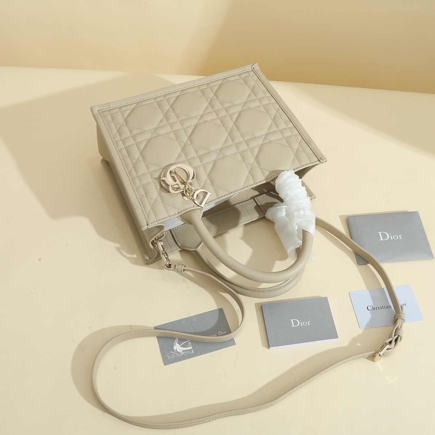 Small Dior Book Tote