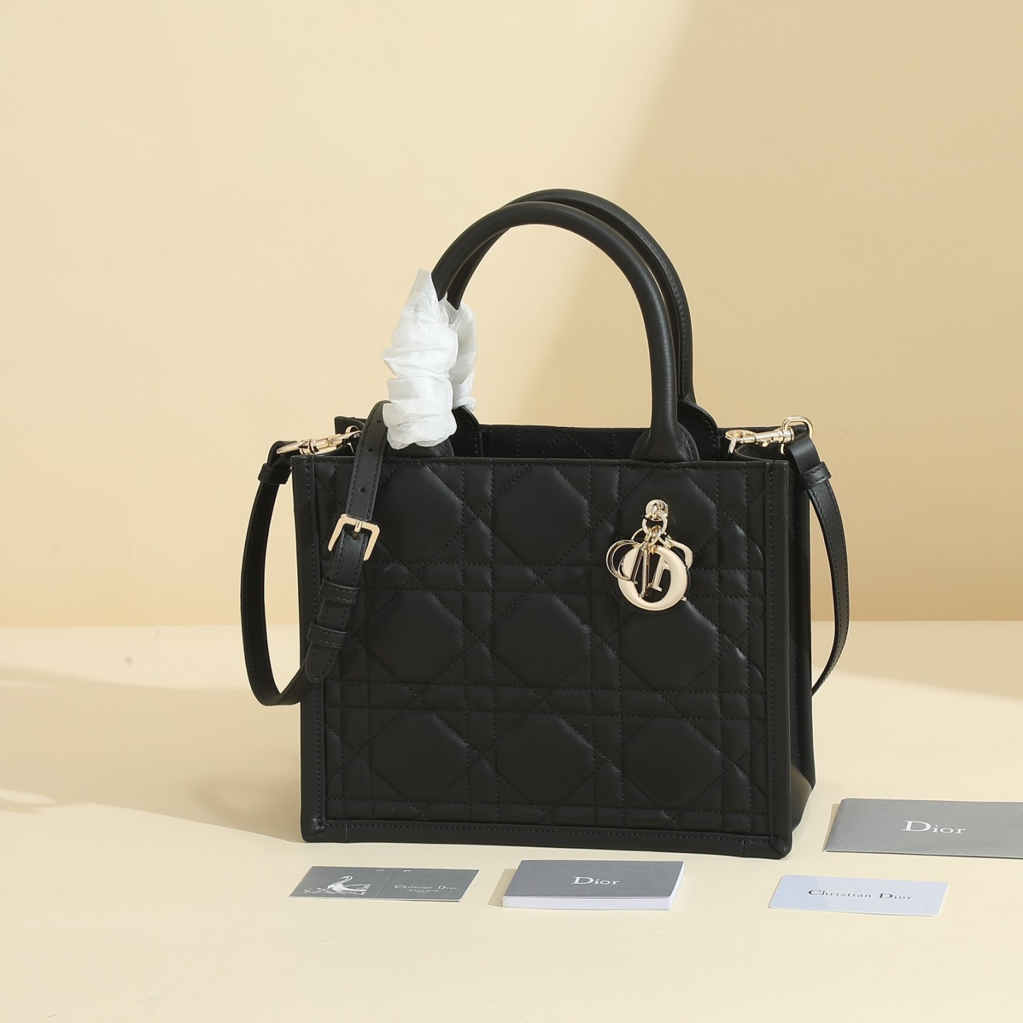 Small Dior Book Tote