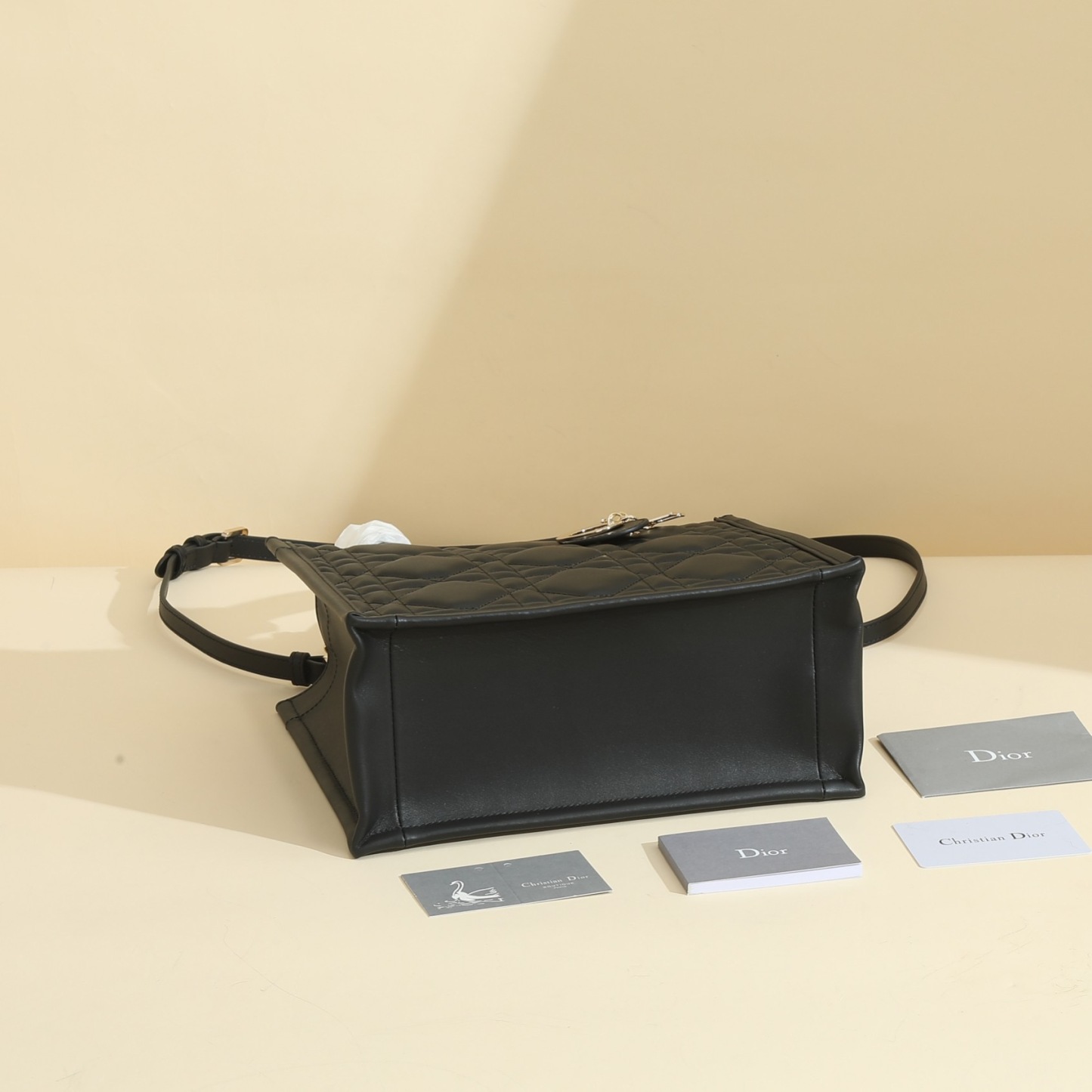 Small Dior Book Tote