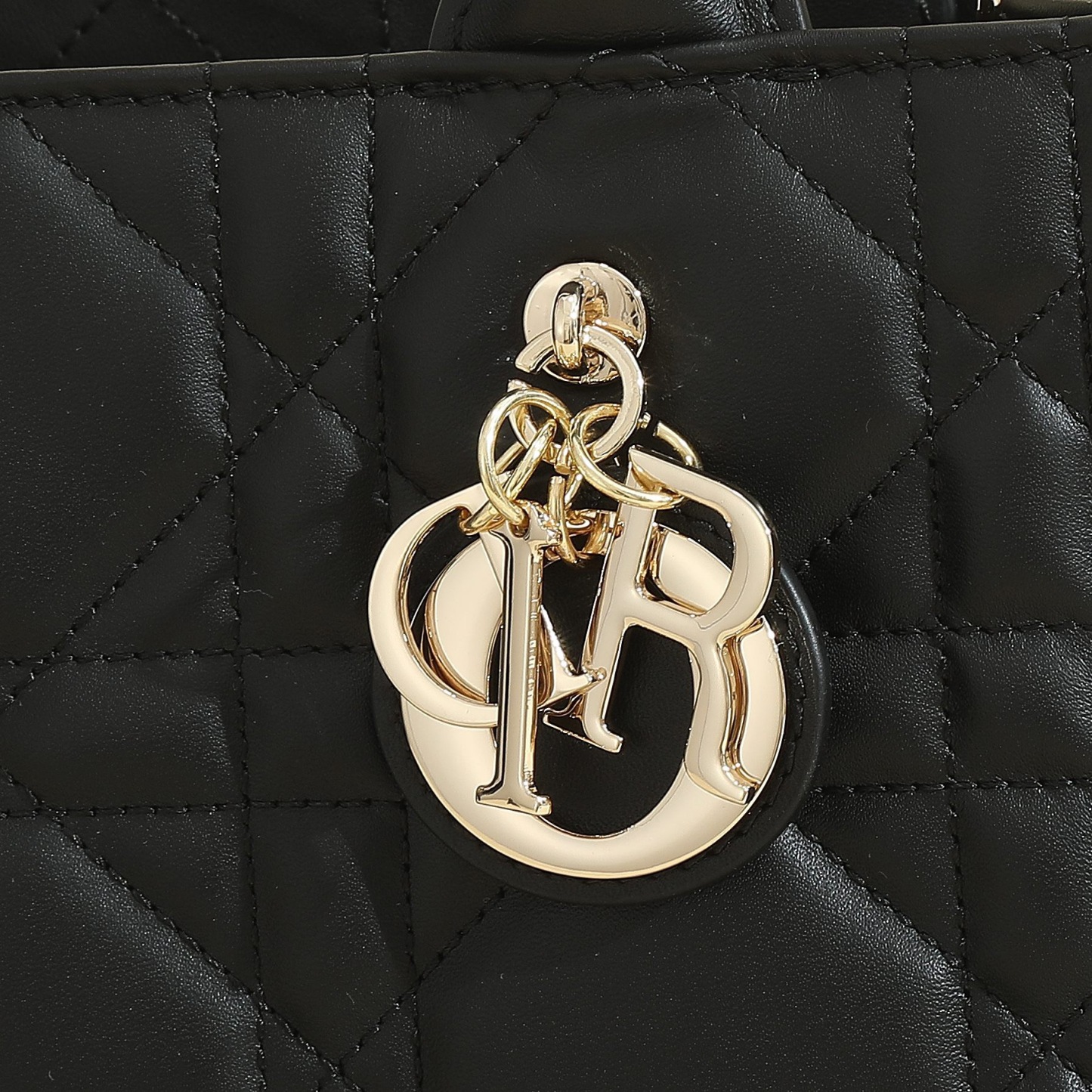 Small Dior Book Tote