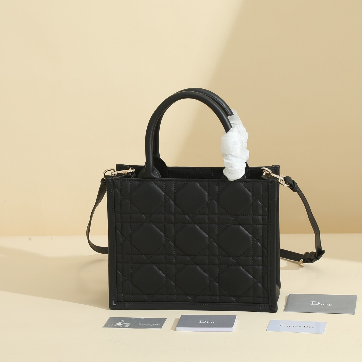 Small Dior Book Tote