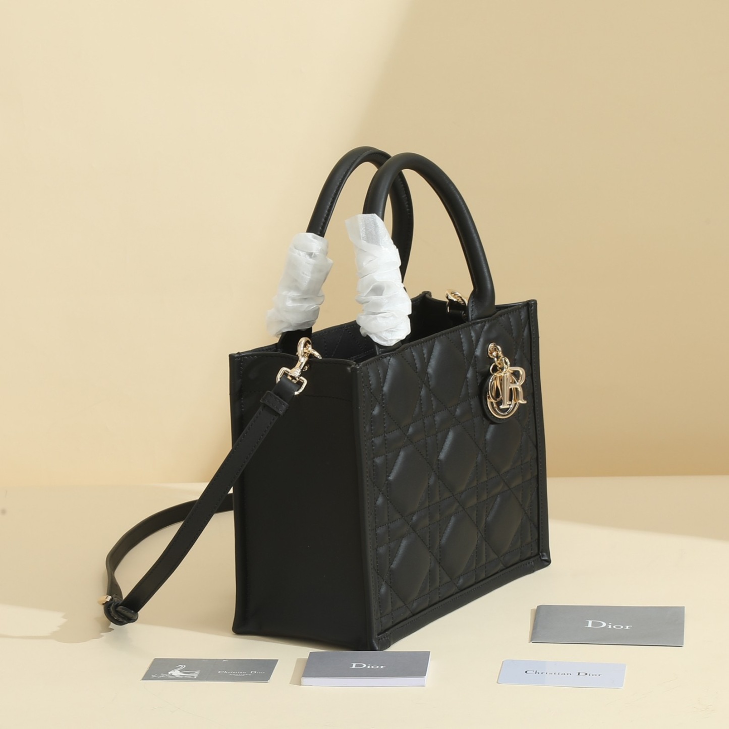 Small Dior Book Tote