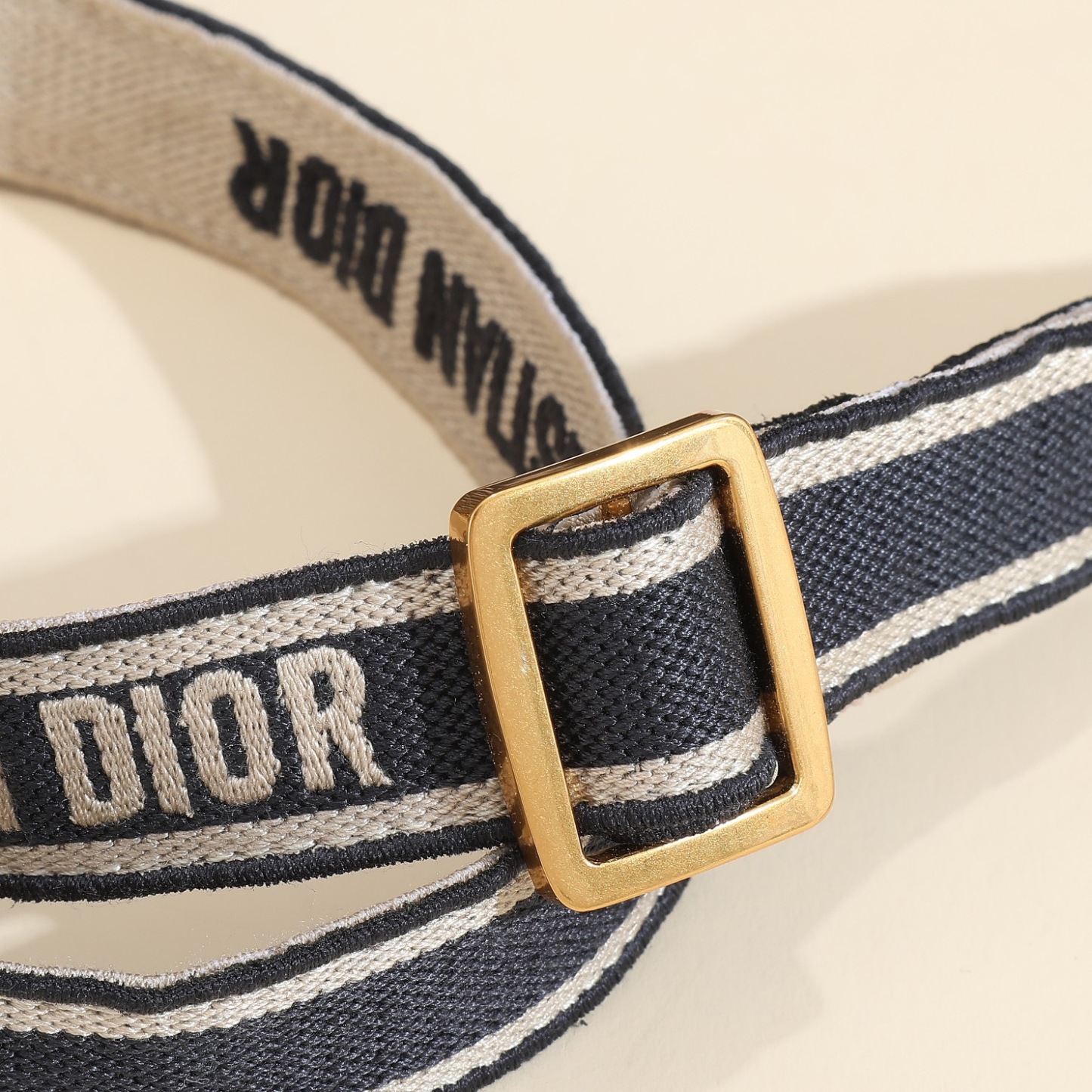 Small Dior Book Tote