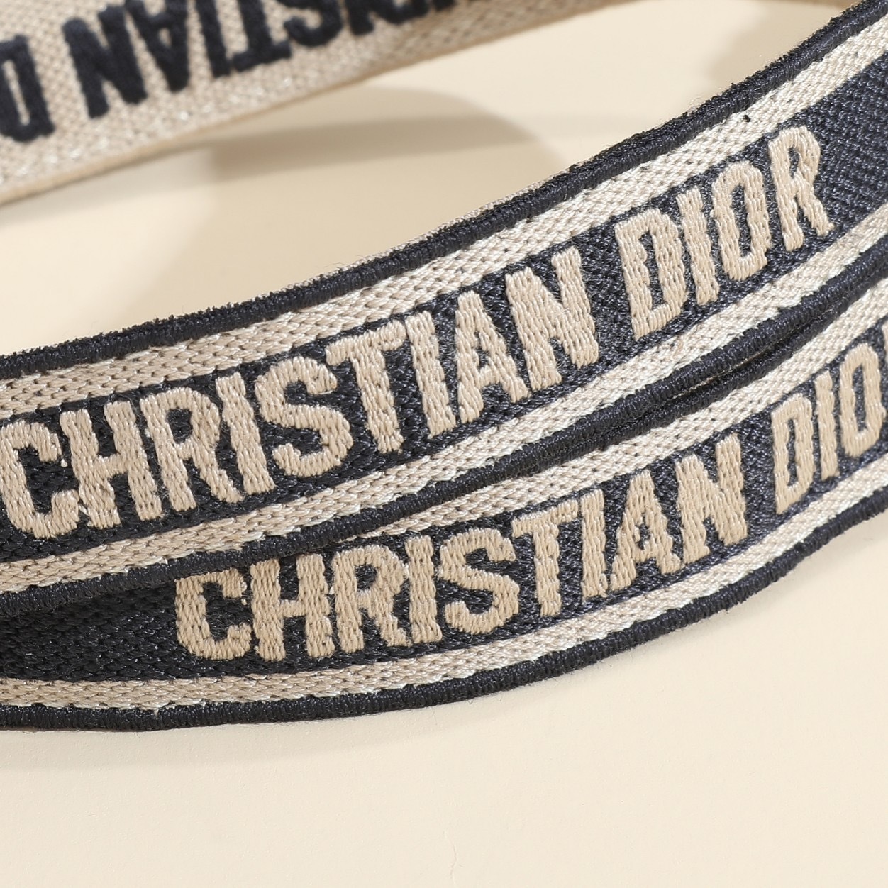 Small Dior Book Tote