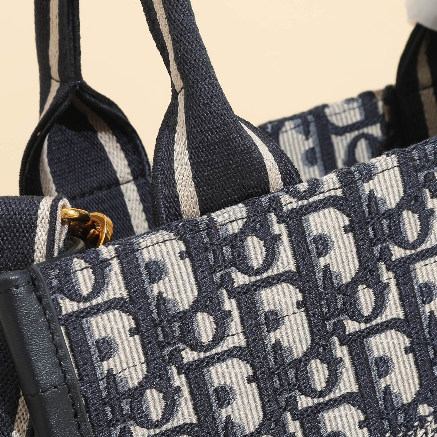 Small Dior Book Tote
