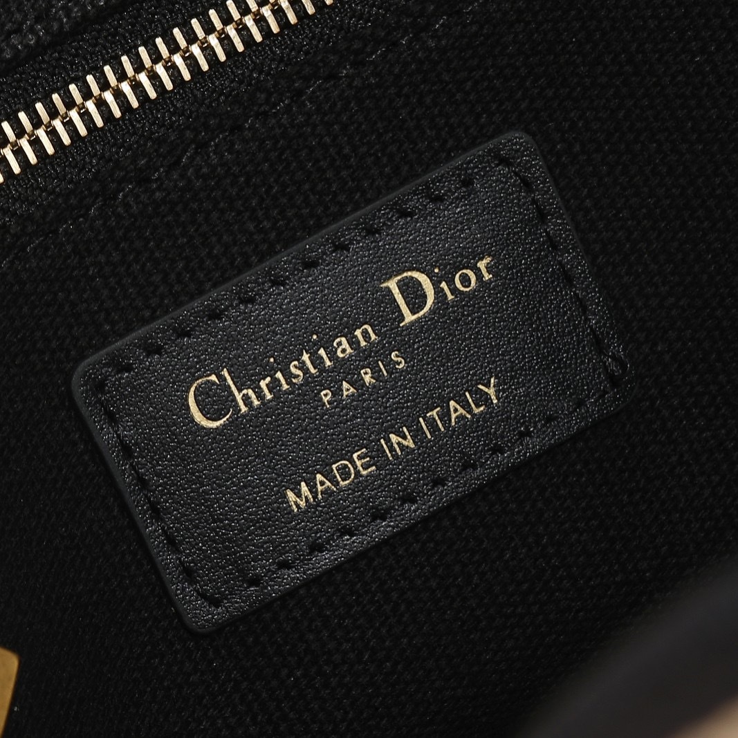 Small Dior Book Tote