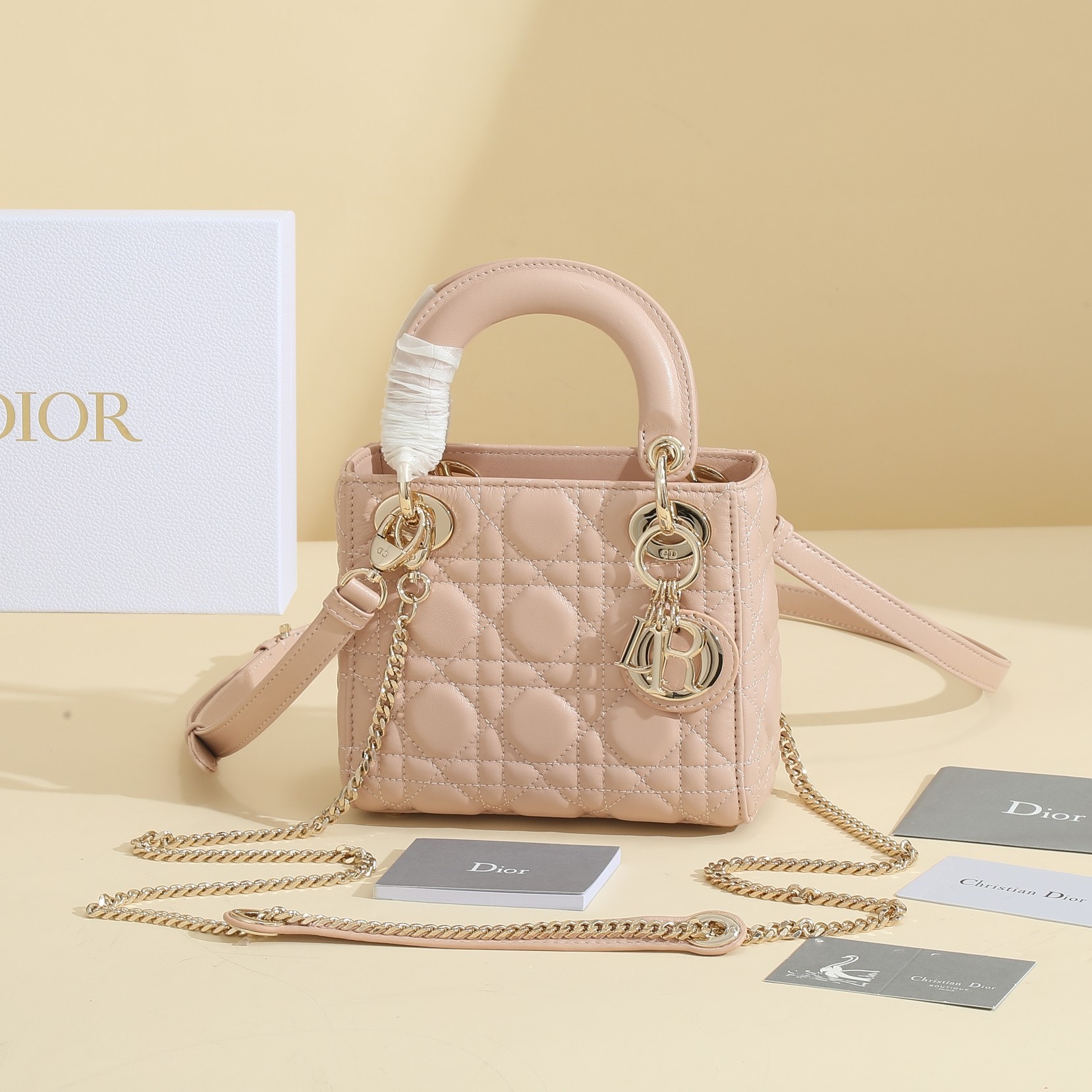 Mini Lady Dior Bag
