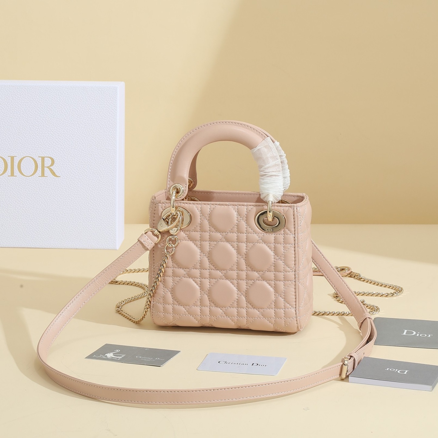 Mini Lady Dior Bag
