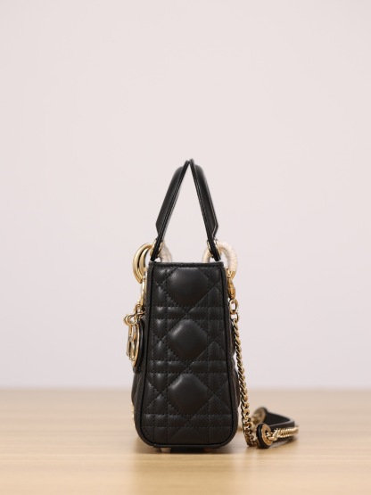 Mini Lady Dior Bag