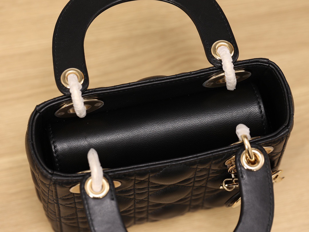 Mini Lady Dior Bag