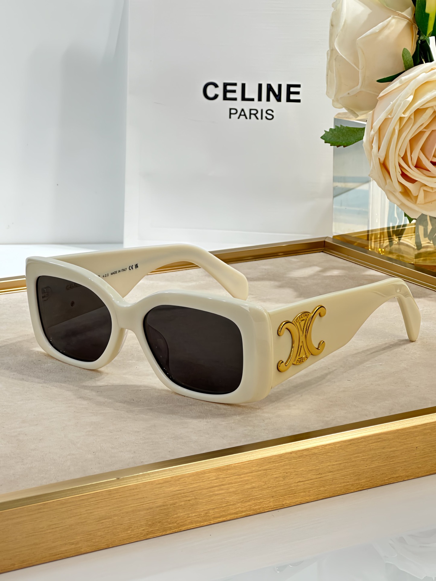 Celine Triomphe XL 01 Sunglasses in Acetate