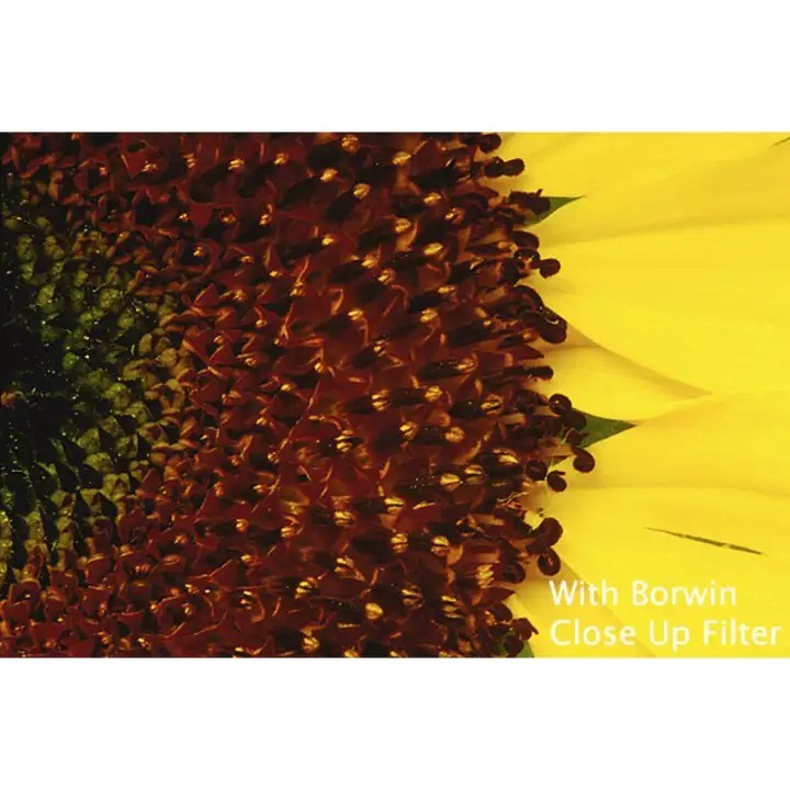 Borwin Close Up Filter Set (4 Filters: +1,+2,+4,+10)