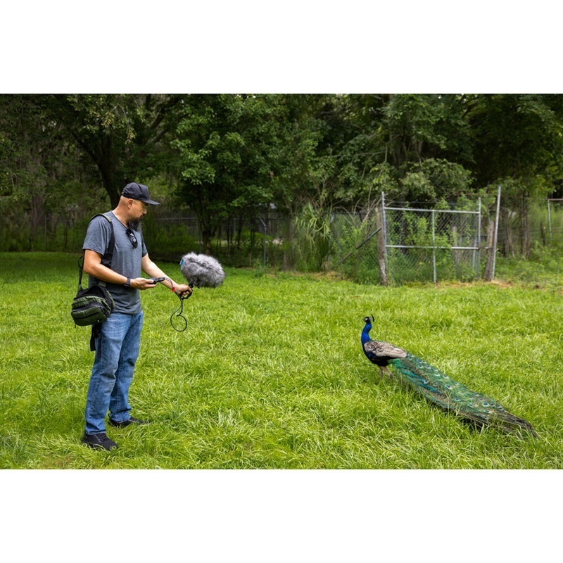 Zoom H1 XLR 32 Bit 2-Track Handy Recorder