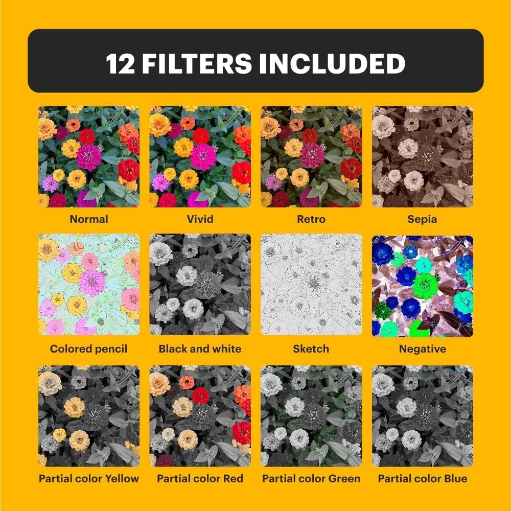 Kodak PIXPRO C1 Compact Digital Camera (Black / Brown / Tan)