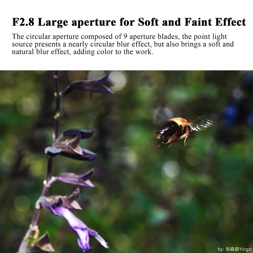 7Artisans 60mm F/2.8 2x Macro Full Frame Lens (E / RF / Z Mount)