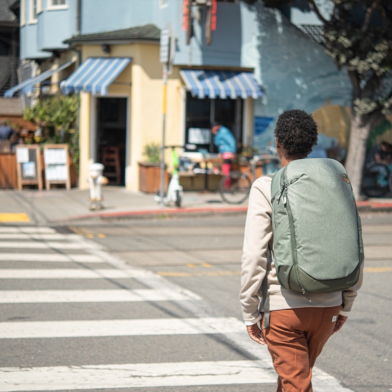 Peak Design Travel Backpack 30L