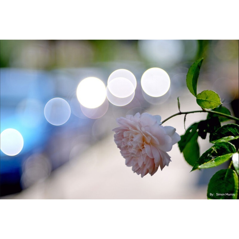 TTArtisan 100mm F/2.8 Full Frame Bubble Bokeh Lens (M42 Mount)
