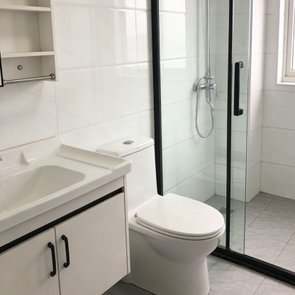 Powerful Toilet Unclogging Agent