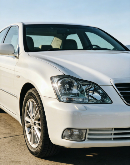 Car scratch care pen