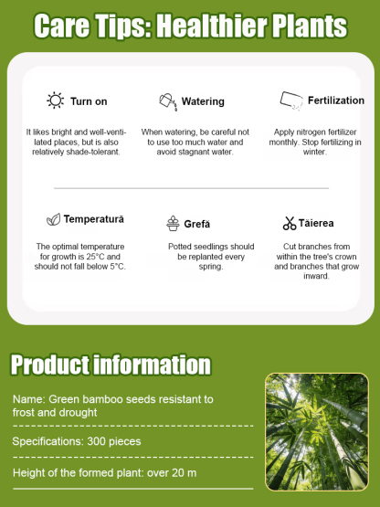 Cold-Resistant and Drought-Tolerant Green Bamboo Seeds for Air Purification