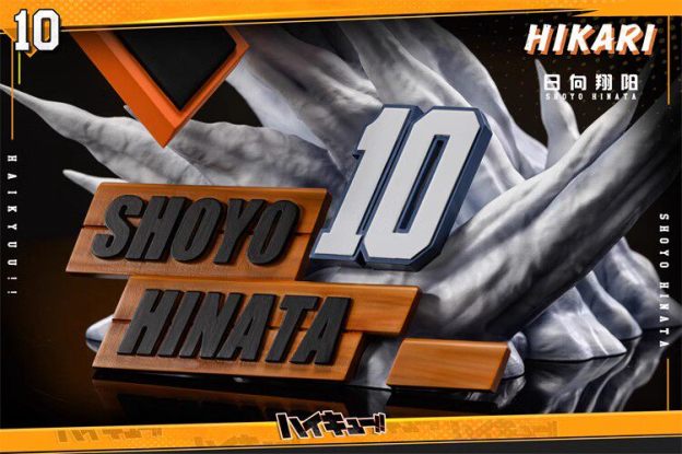 HIKARI 排球少年 第一彈 日向翔陽