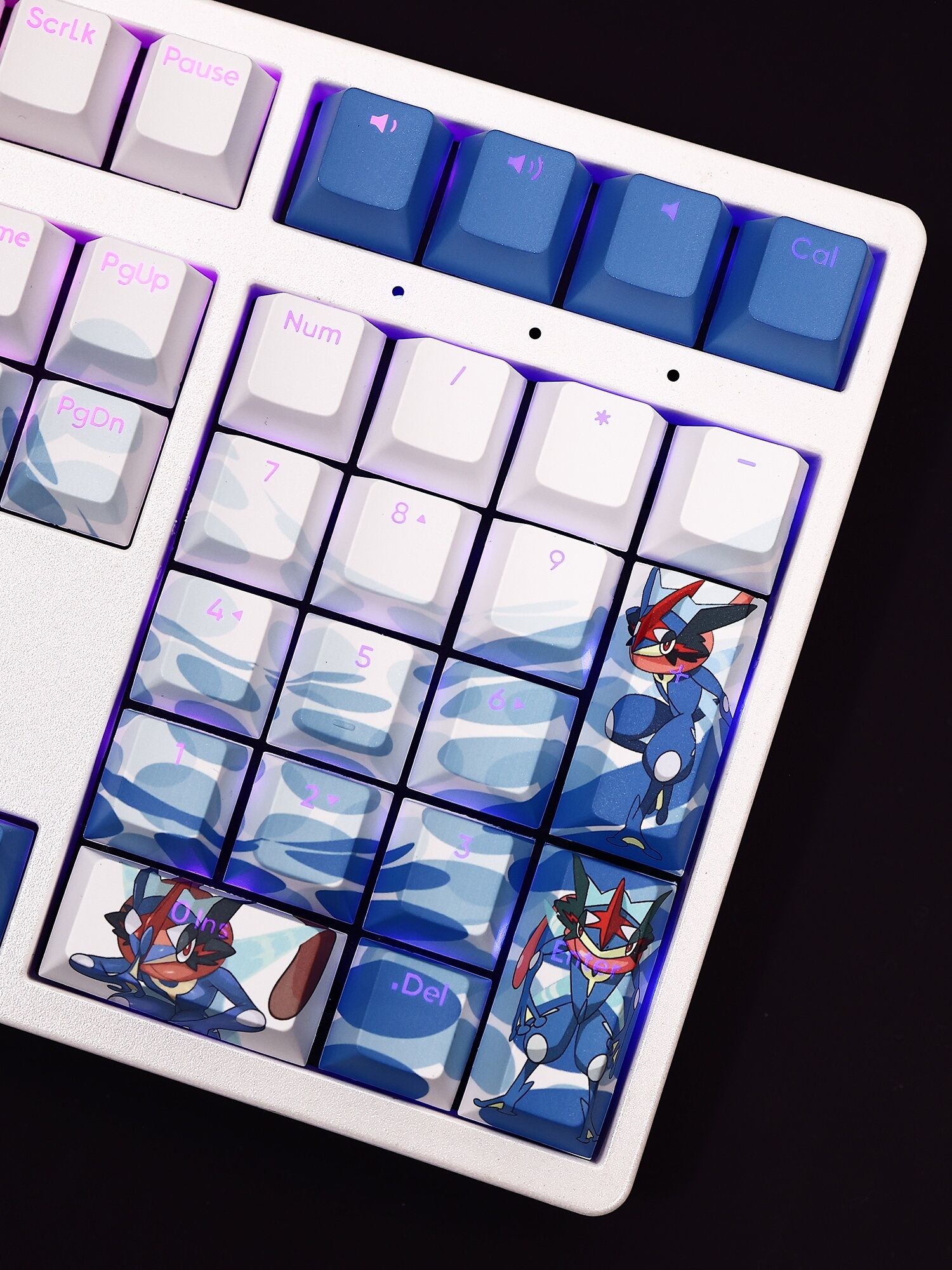 甲賀忍蛙透光RGB108鍵標準配列衛星軸鍵帽-CASEZONE