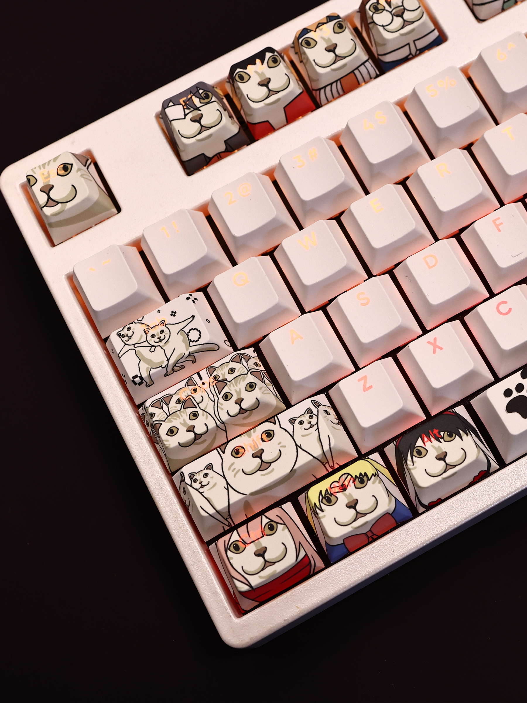 MUR貓透光RGB108鍵標準配列衛星軸鍵帽-CASEZONE