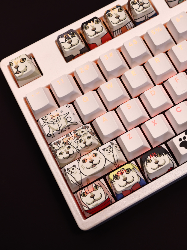 MUR貓透光RGB108鍵標準配列衛星軸鍵帽-CASEZONE