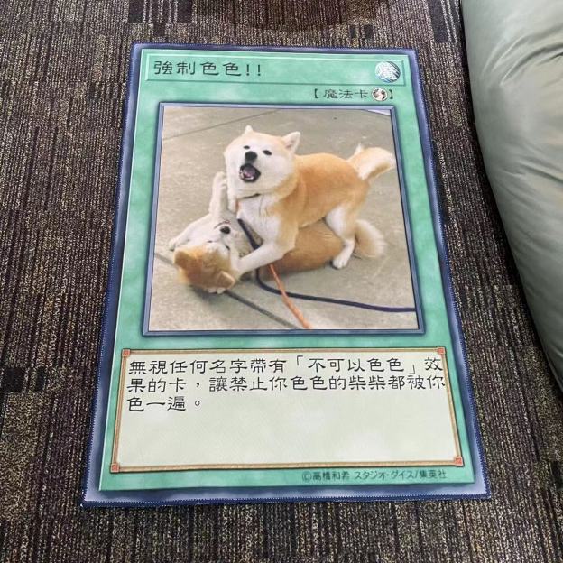 「不可以色色」Pon網紅柴犬卡牌家用臥室牀邊客廳地毯-CASEZONE