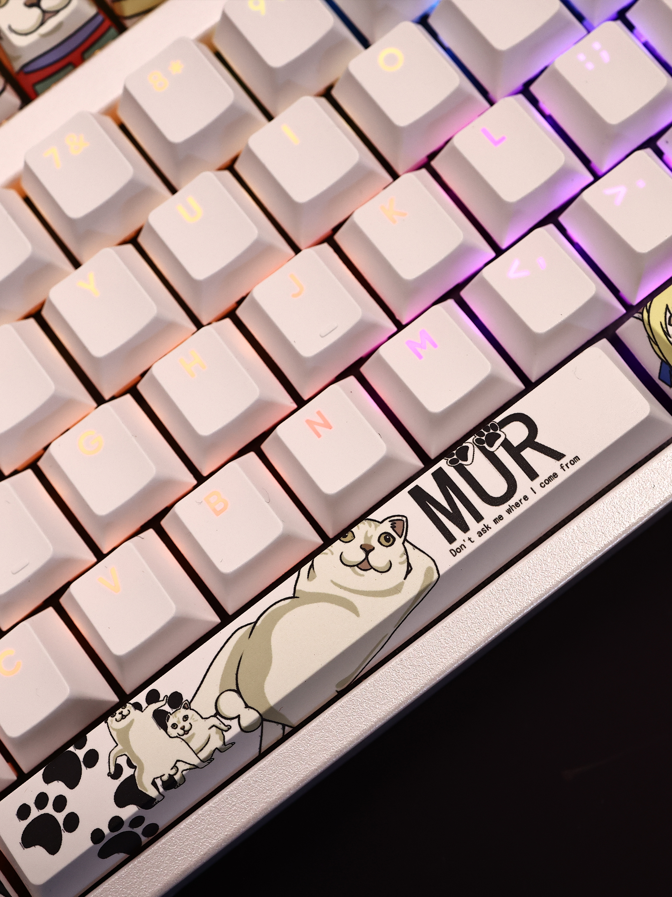 MUR貓透光RGB108鍵標準配列衛星軸鍵帽-CASEZONE
