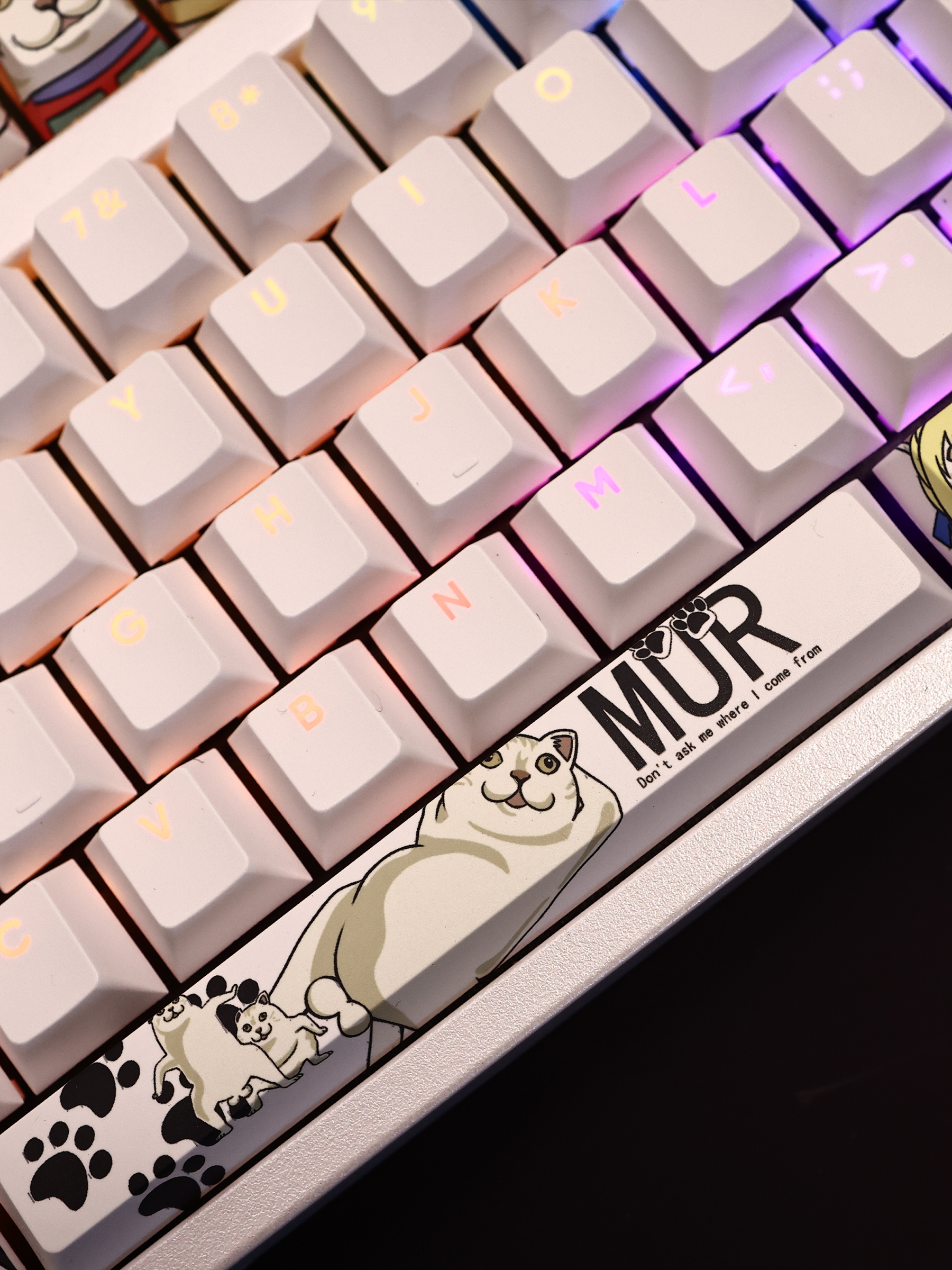 MUR貓透光RGB108鍵標準配列衛星軸鍵帽-CASEZONE