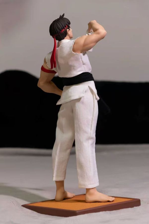 【預購】DD工作室-臭弟弟Cosplay系列-空手道少年隆
