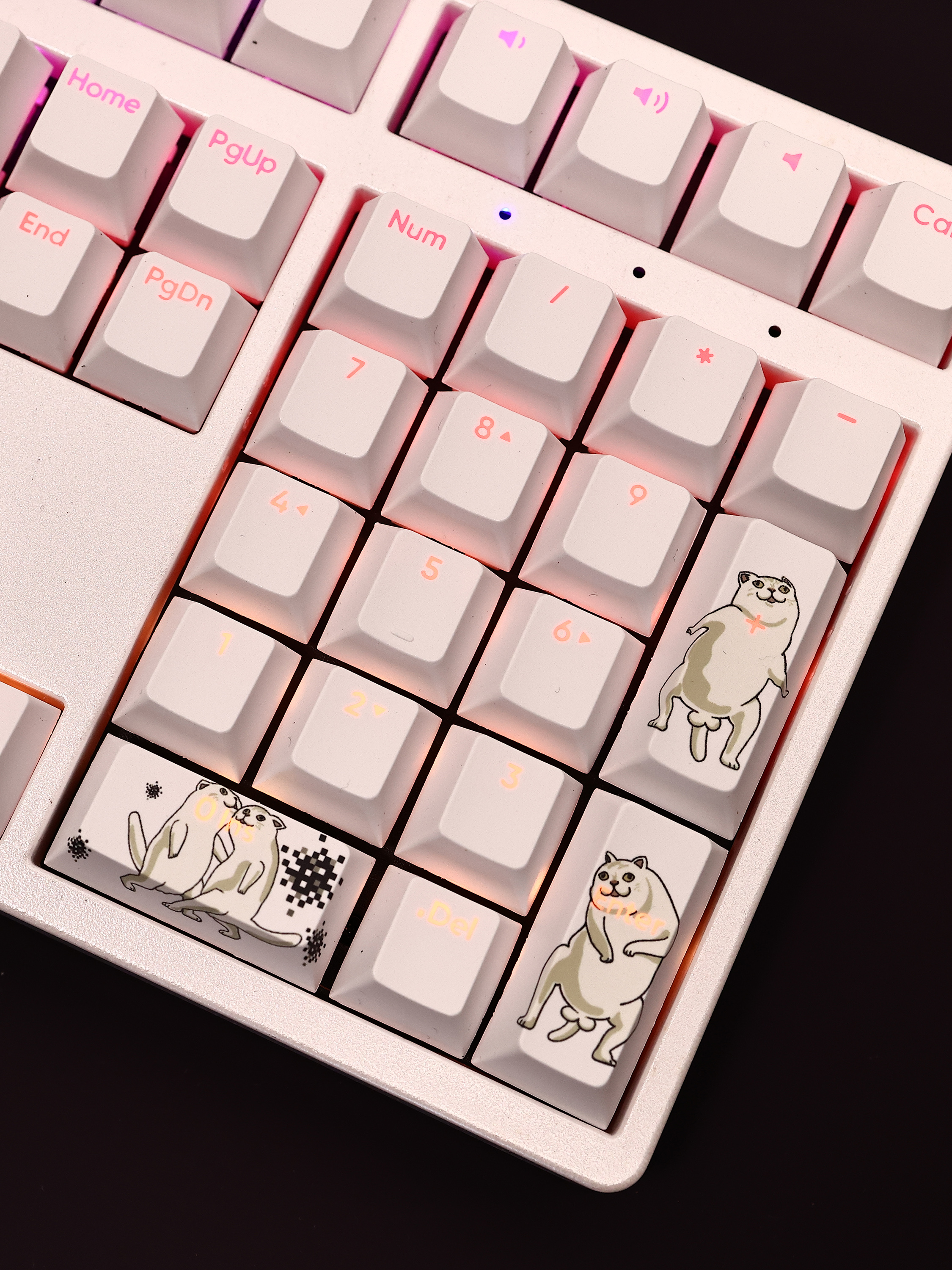 MUR貓透光RGB108鍵標準配列衛星軸鍵帽-CASEZONE