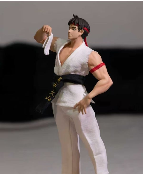 【預購】DD工作室-臭弟弟Cosplay系列-空手道少年隆